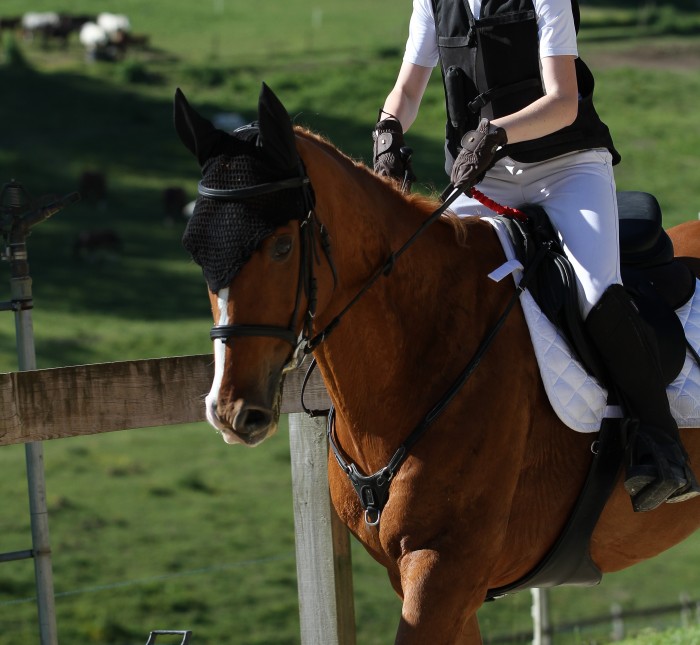 Photo de profil de jade_ubo