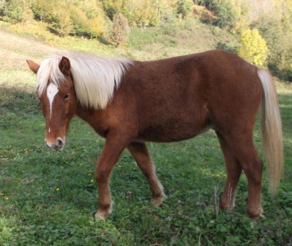 Photo de profil de jeffff