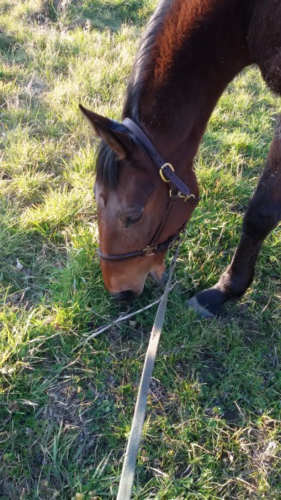 Photo de profil de jennidjen