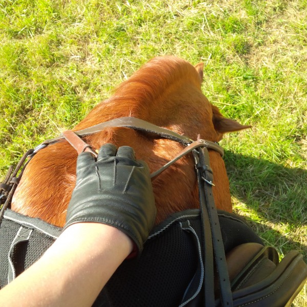 Photo de profil de jennie169