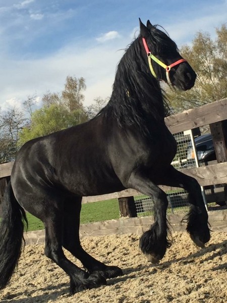 Photo de profil de jess82