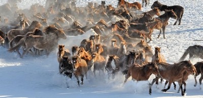 Photo de profil de jessie.k