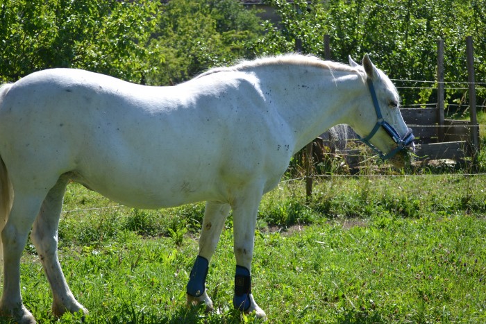 Photo de profil de jibilo