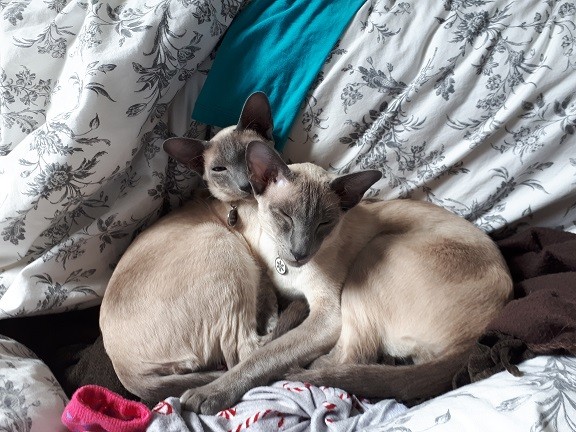 Photo de profil de jlw78