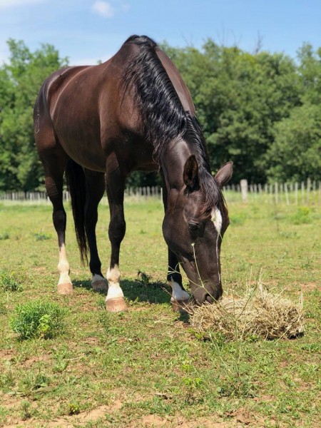 Photo de profil de jocker1705