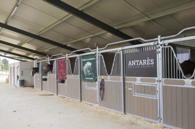 Photo de profil de jockeyy