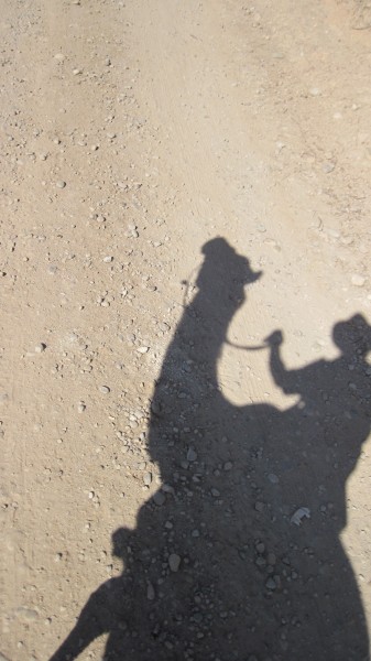 Photo de profil de johnditjon