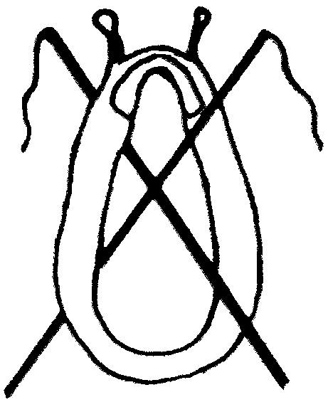 Photo de profil de joiedelattelage