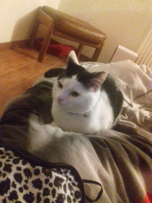Photo de profil de jojo222