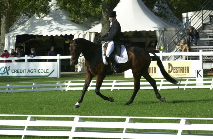 Photo de profil de josh92