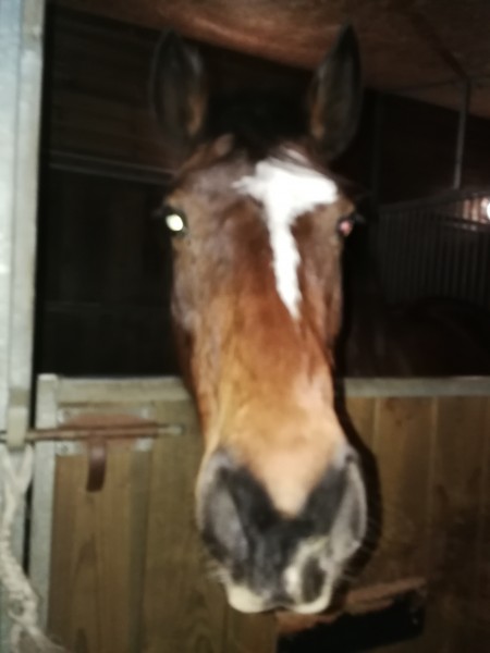 Photo de profil de j_ostrale13