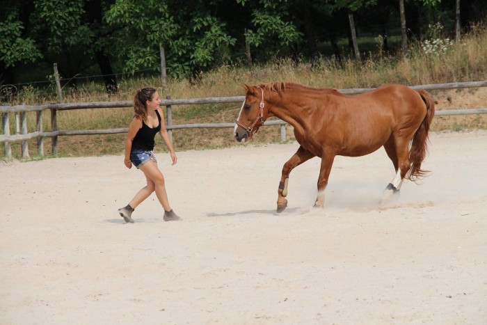 Photo de profil de jugase