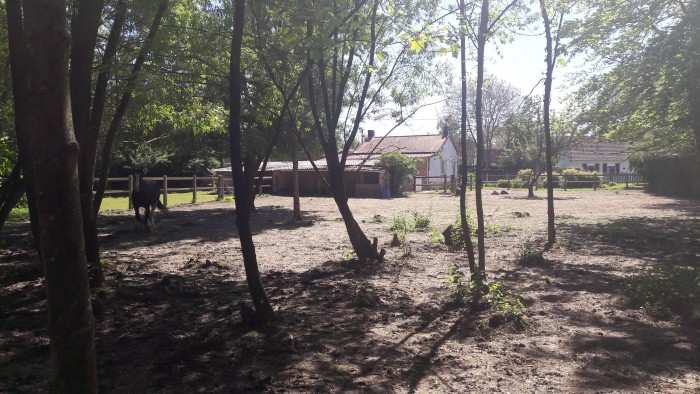 Photo de profil de jujoyce