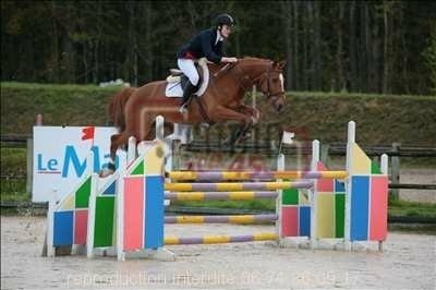 Photo de profil de juliedbt