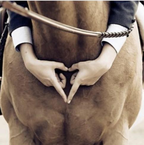 Photo de profil de julie_dev