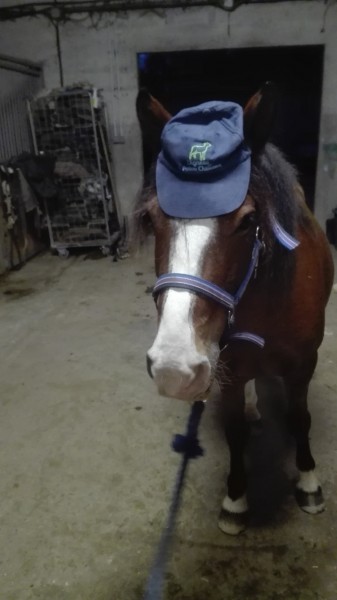 Photo de profil de juliegeorges