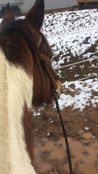 Photo de profil de julivanbutera