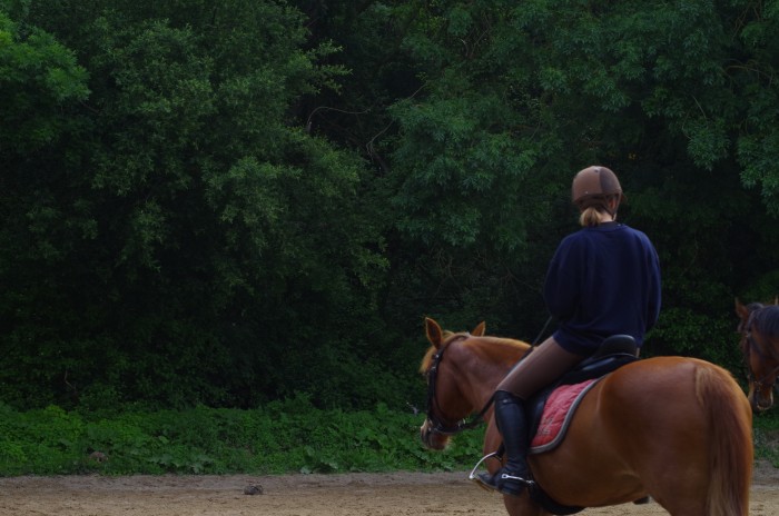 Photo de profil de juml