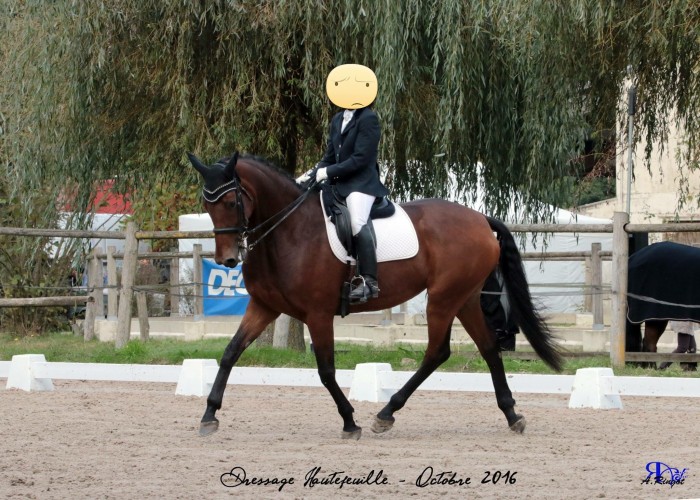 Photo de profil de junchan