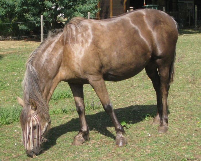 Photo de profil de kaline86