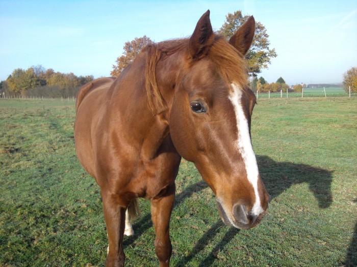 Photo de profil de kanelle_78