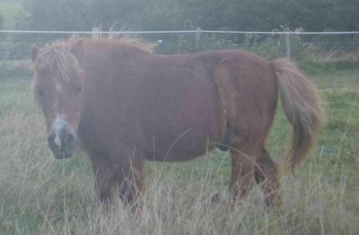 Photo de profil de kareine