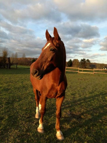 Photo de profil de karinee