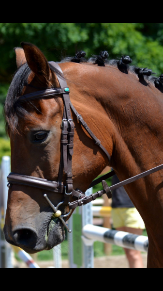 Photo de profil de kassandrapastor