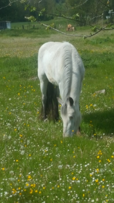 Photo de profil de khymelia60