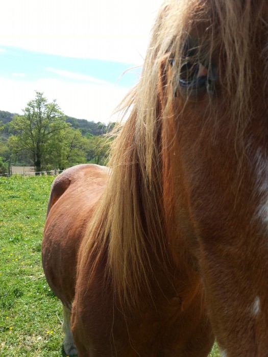 Photo de profil de kisaro