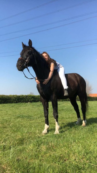 Photo de profil de kleauet