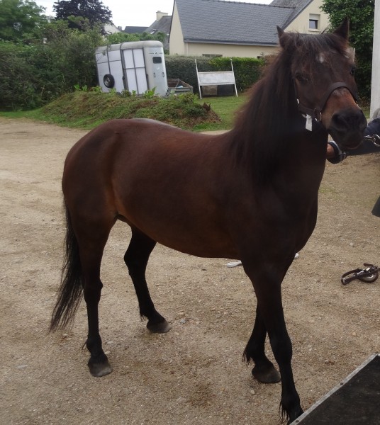 Photo de profil de krack29