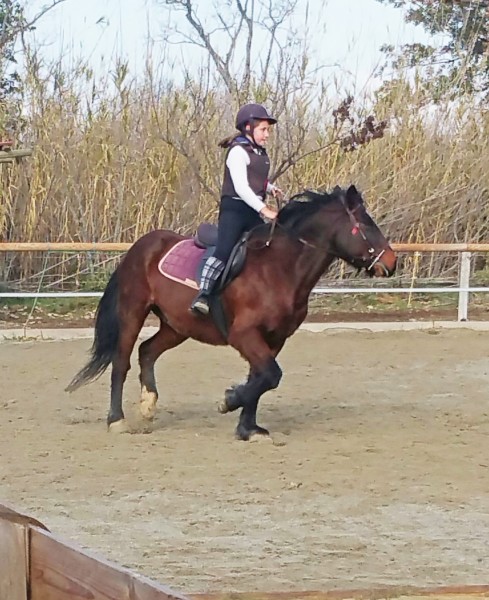 Photo de profil de kroll66