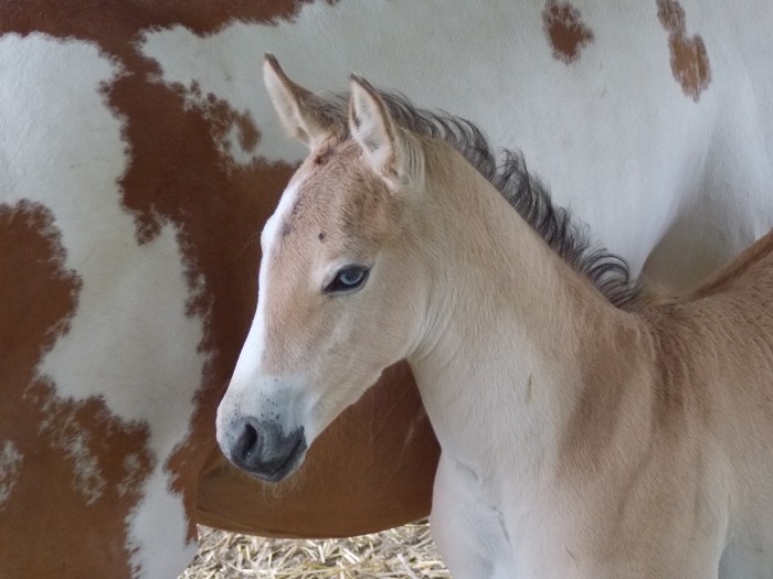 Photo de profil de lacanopee