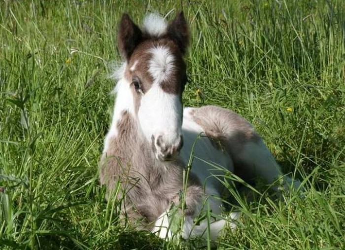 Photo de profil de lagatha