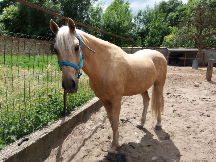 Photo de profil de lau222