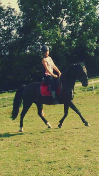 Photo de profil de lauestvs