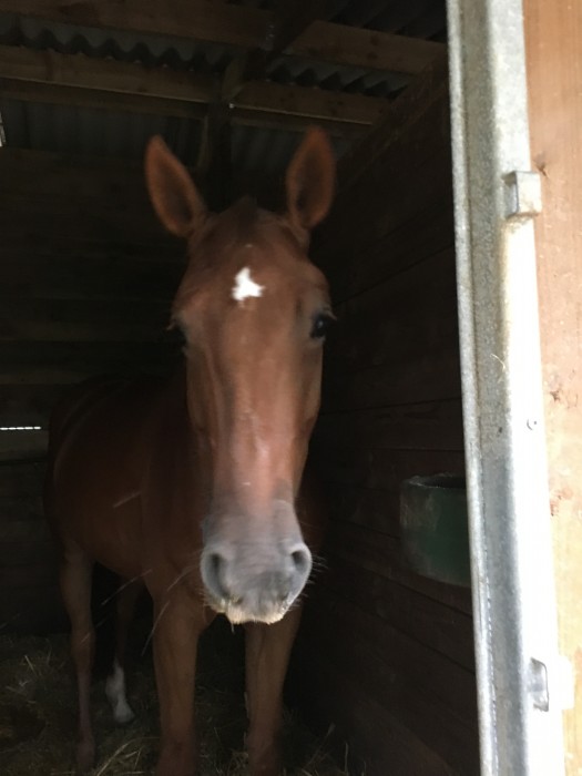 Photo de profil de lauradt