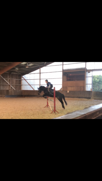 Photo de profil de laura.glvc