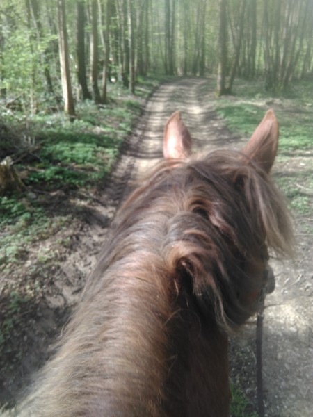 Photo de profil de laure.b