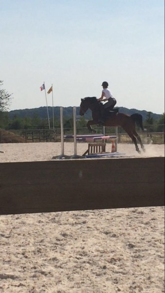 Photo de profil de laurine_agc