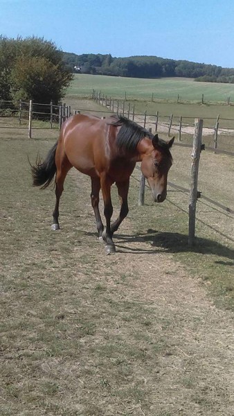 Photo de profil de lea0117