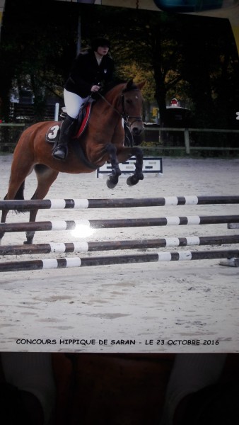 Photo de profil de leadrx