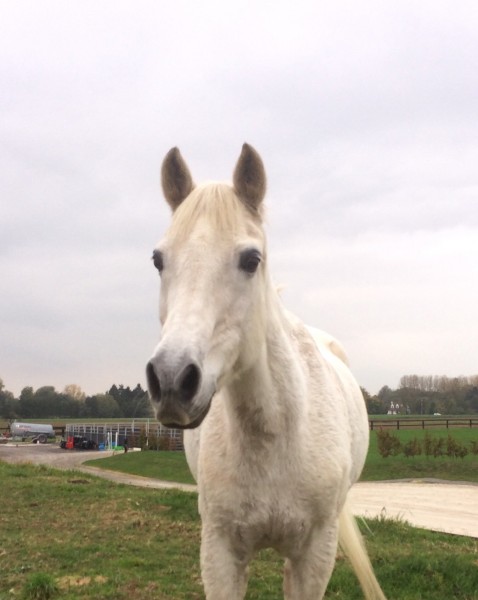 Photo de profil de leafchrd