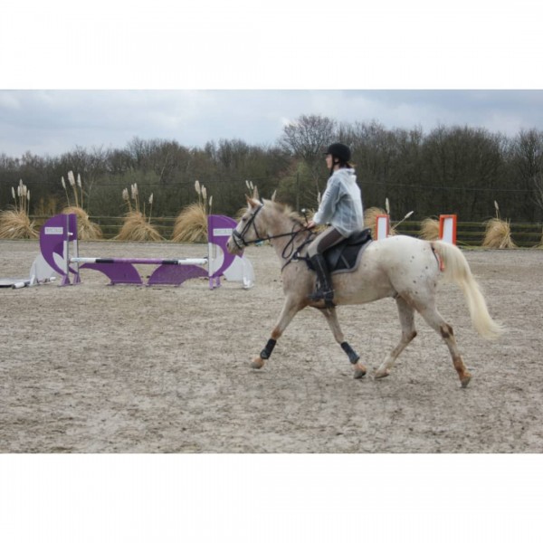 Photo de profil de leana.03
