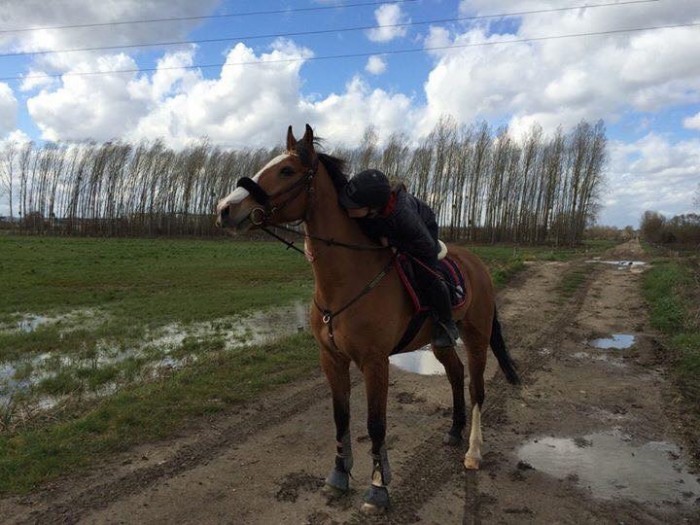 Photo de profil de leausa