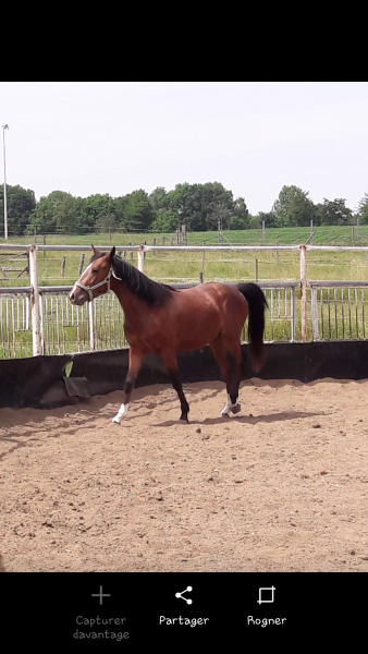 Photo de profil de lehren6834