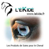 Lekide