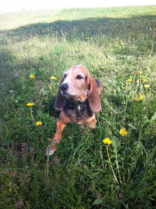 Photo de profil de lena12120