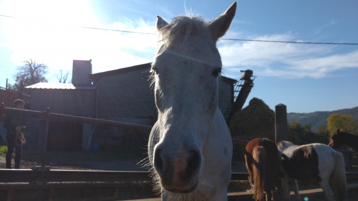 Photo de profil de lena_42000